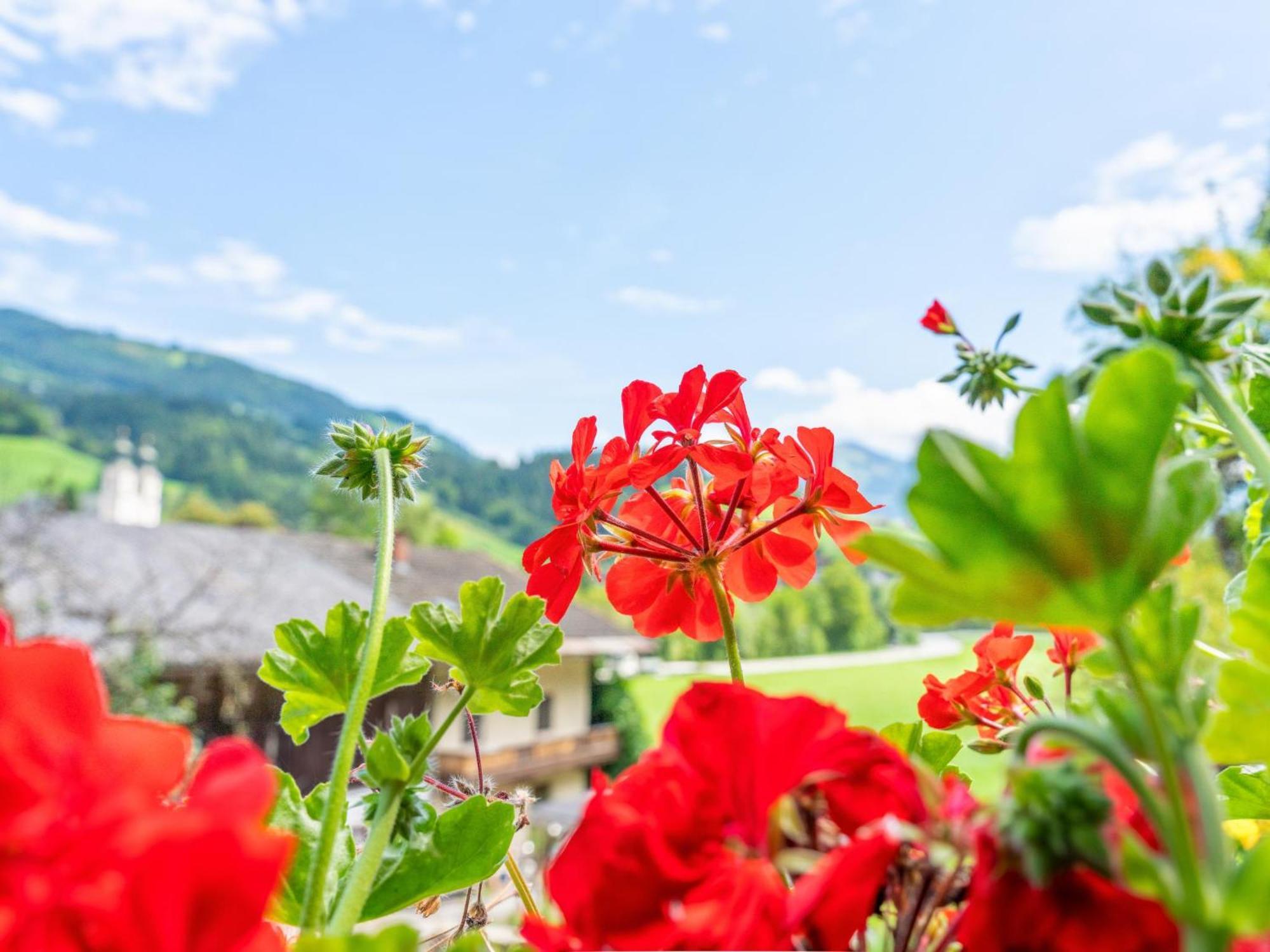Alte Grafenmuehle Villa Hopfgarten im Brixental Kültér fotó