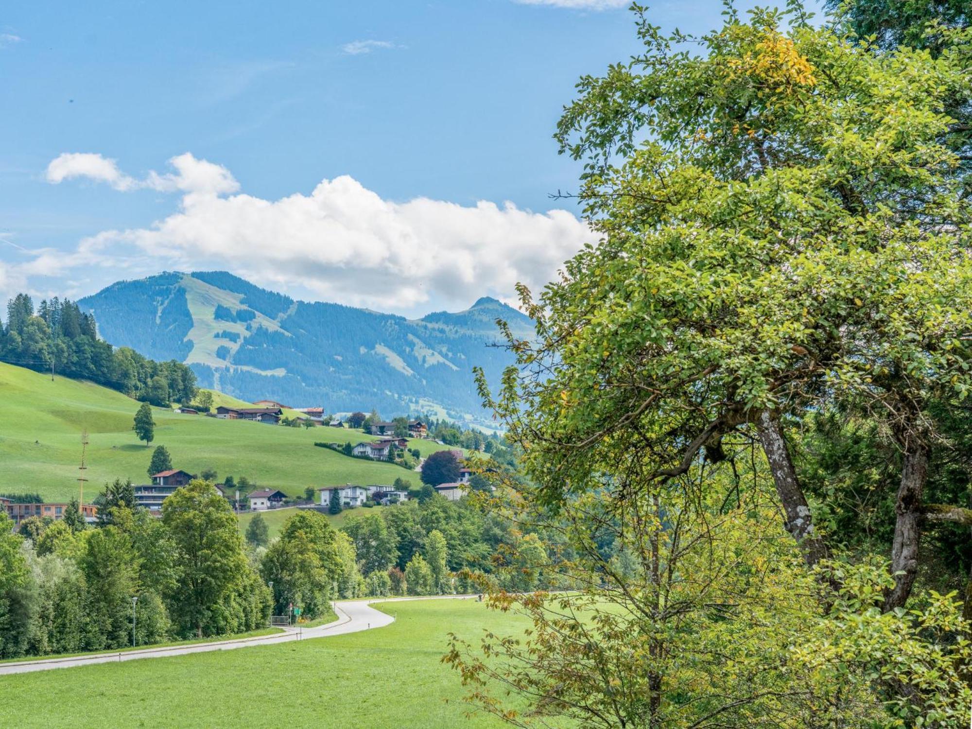 Alte Grafenmuehle Villa Hopfgarten im Brixental Kültér fotó